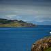 Deborah Stalter Photo 5