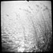 Diana Reed Photo 36