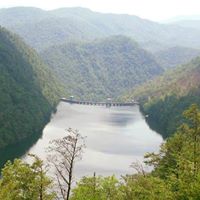 Kathy Goolsby Photo 7