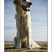 Bonny Summers Photo 17