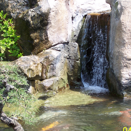 Jeanne Wagner Photo 32