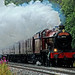 Harry Sutton Photo 20