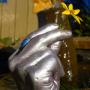 Dawn Schneider Photo 23