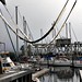 Rachel Harbour Photo 16