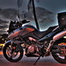 James Strom Photo 31