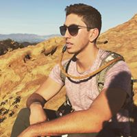 Max Levine Photo 32