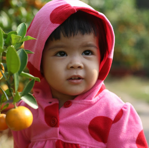 Lam Trinh Photo 32