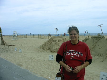 Carol Swartz Photo 24