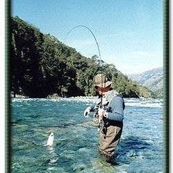 Terry Frey Photo 10