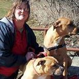 Julie Seward Photo 12