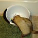 Anita Goins Photo 10