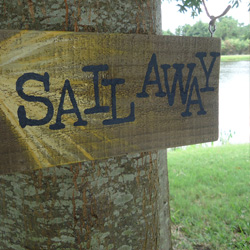 Paul Schaeffer Photo 38