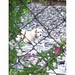 Andre Casares Photo 4