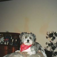 Alice Higgins Photo 39