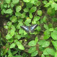 Tracey Rodgers Photo 30