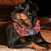 Jill Eckard Photo 1