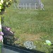 James Scheer Photo 22