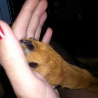 Maria Divito Photo 12