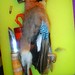 Jay Hunt Photo 32