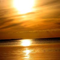 Jennifer Woodford Photo 19