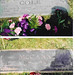 Fred Mccann Photo 11