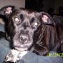 Sherry Mercer Photo 25