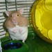 Suresh Kumar Photo 14