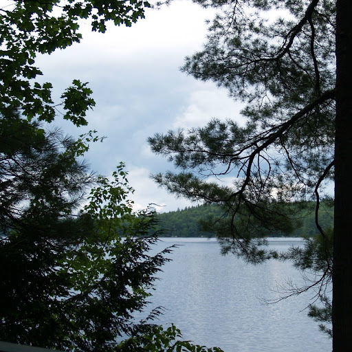 Kathy Mcneill Photo 26