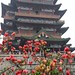 Teng Li Photo 18