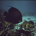 John Few Photo 13