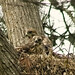 Debra Hawks Photo 7
