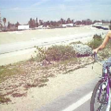 Jennifer Leo Photo 27