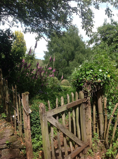 Mary Francis Photo 41