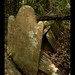Hannah Combs Photo 15
