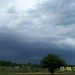 Barbara Whatley Photo 15