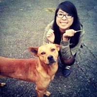 Vanessa Yang Photo 7