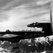 Douglas Brenner Photo 15