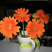 Ruth Gerber Photo 10