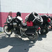 Kelly Dempster Photo 14