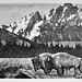 Don Crouch Photo 22
