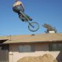 Patrick Phillips Photo 33