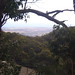 Frances Robertson Photo 23