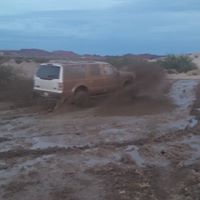 Fred Bowman Photo 21