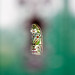 Lawrence Key Photo 18