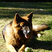 Stephen Boos Photo 20