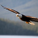 Chad Graham Photo 45