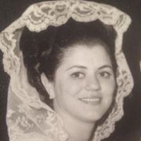 Lisa Ferri Photo 18