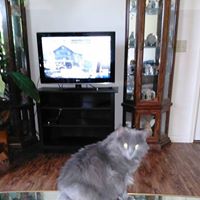 Susan Lunsford Photo 15