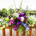 Jodi Miller Photo 16
