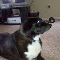 Felipe Brown Photo 6